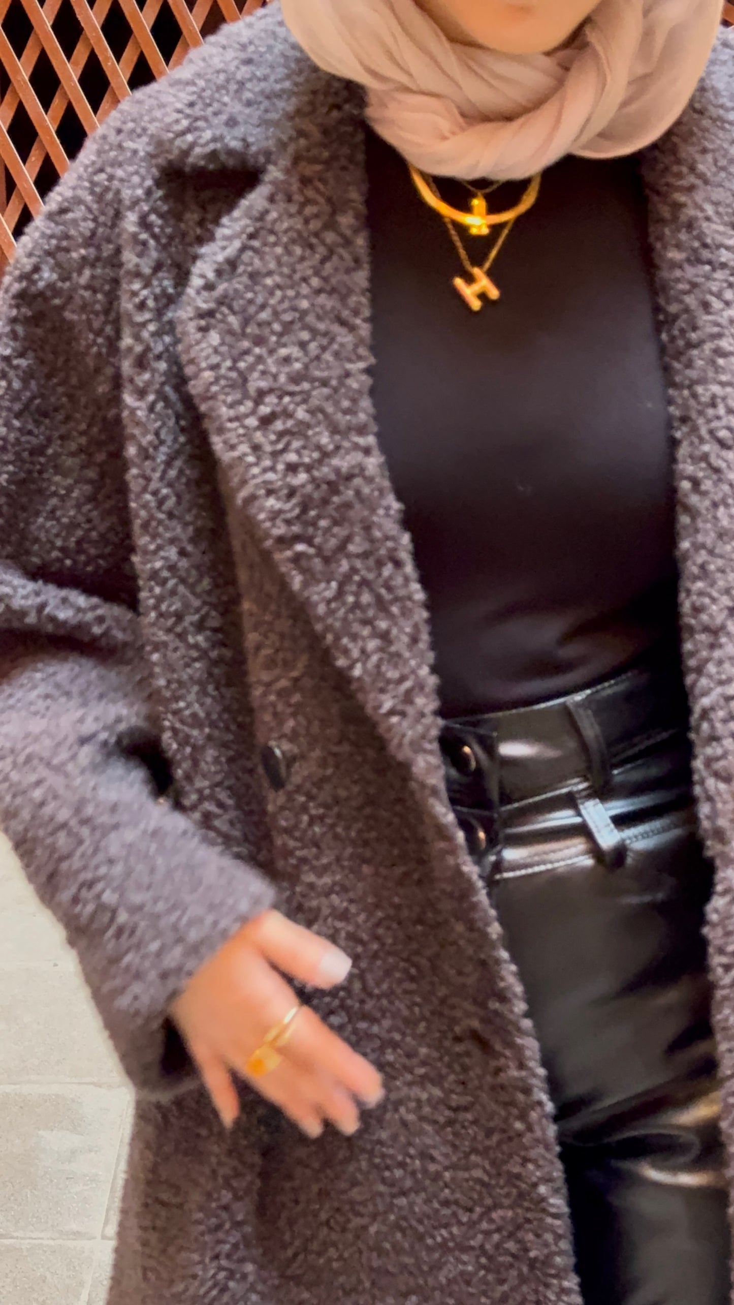 The Teddy Leather-Lined Coat