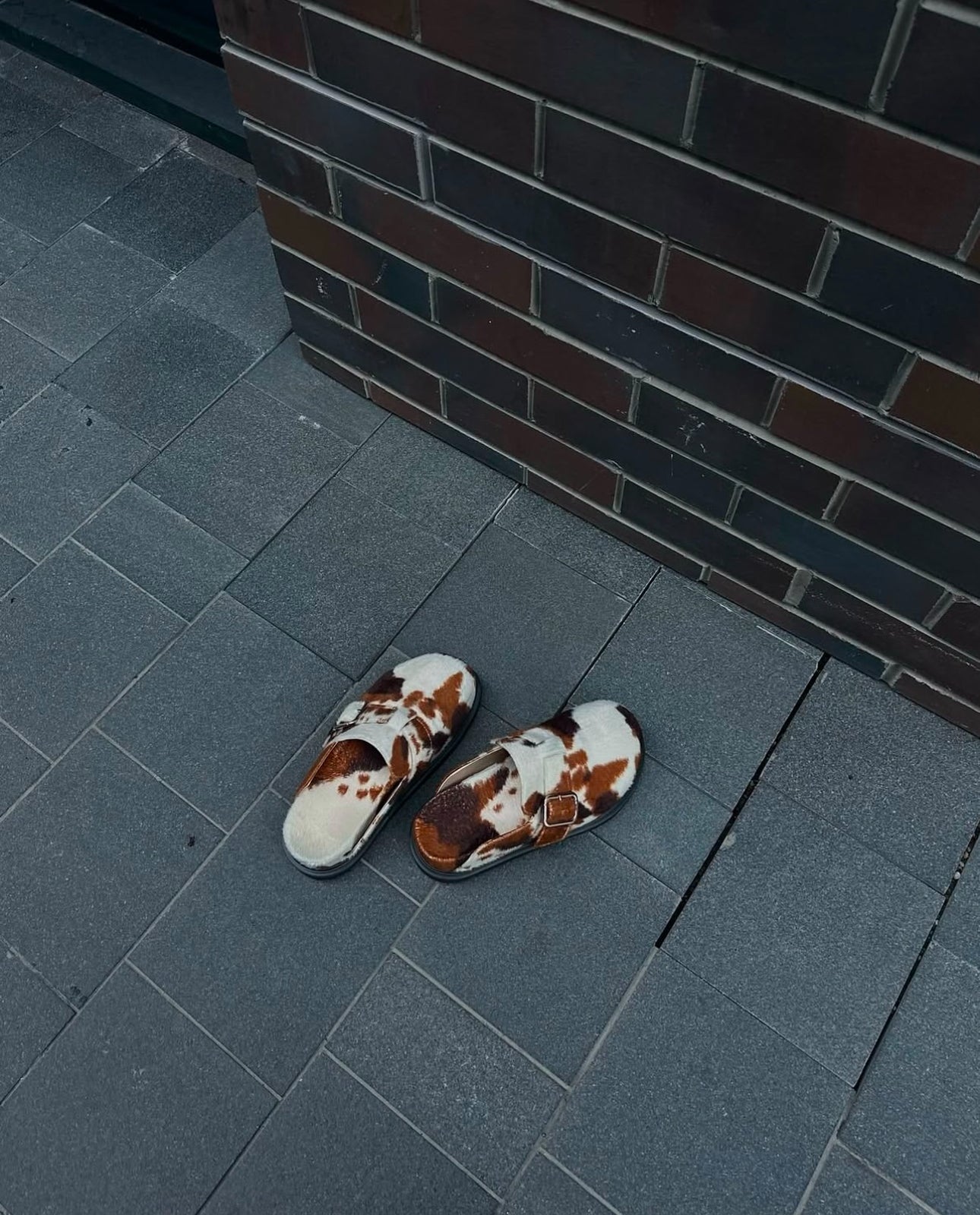 Printed Clogs